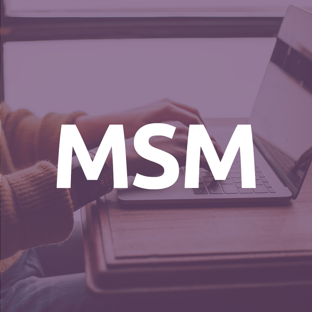 MSM second iteration program descriptions now available - CaRMS